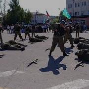 Показательное Выступление Разведчиков 217 Го Пдп