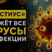 Игорь Андреев Исцеление Звуком