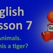 English Lesson 7 Learn Zoo Animals For Kids Question Grammar That This Song