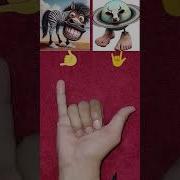 Трипи Тропа Тропа Трипи Фонк