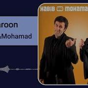 Habib Mohamad Baroon