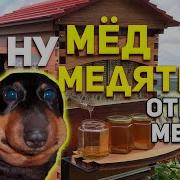 Ну Медятина