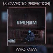 Eminem Who Knew Slowed