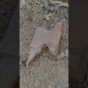 Наковальни Улетают В Зелёные Края