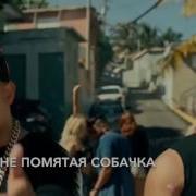 Ну Спасибо Пародия На Despasito