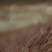 Эдгар Туниянц Одинокая Душа