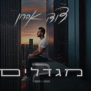 דודו אהרון