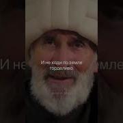 Сулейман Султан Мелодии