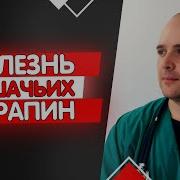 Кошка Поцарапала Ребенка