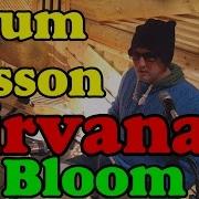Барабаны Nirvana In Bloom Drum Lesson Партия Ударных Нирвана Уроки