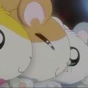 Tottoko Hamtaro Dechu