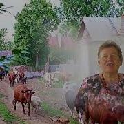 Тропиночка К Родному Порогу