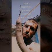 Ууу Вася Че За Аппарат