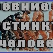 Человеческие Инстинкты Какие Инстинкты Нам Помогают Выживать Human