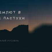 Дремлют В Поле Пастухи Русавук