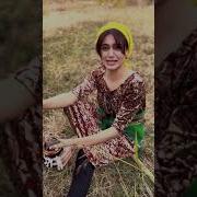 Қайнона Куёв Прикол Латифа Qaynona Kuyov Prikol Latifa