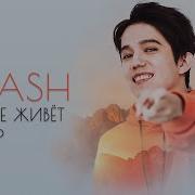 Dimash Where Love Lives Там Где Живет Люьовь