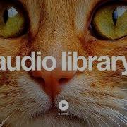 Kevin Macleod B Roll Ska Islandesque No Copyright Music