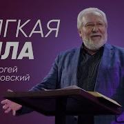 Мягкая Сила Сергей Ряховский Shorts