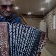Лирические Наигрыши На Гармони
