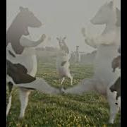 Wake Up Its First Of The Month Cows