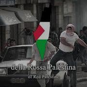 Rosa Palestina