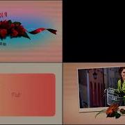 108 Flower Elements After Effects Project Files Videohive 14656996