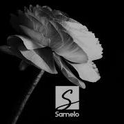 Samelo Dark Roses