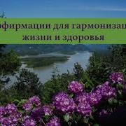 Лариса Шиберт Медитация