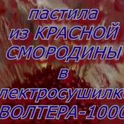 Пастила Из Красной Смородины В Электросушилке Волтера 1000