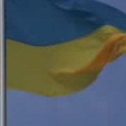 Дня Державного Прапора 2008