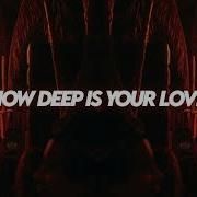 Calvin Harris Disciples How Deep Is Your Love Apreski Afro House Remix