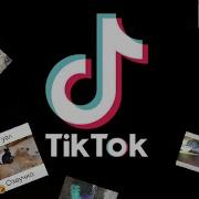 Лучшая Нарезка Из Tik Tok Про Животных