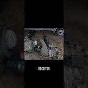 Стрельба Мем