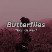 Thomas Reid Butterflies