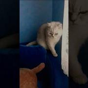 Эх Хорошо Сидим Цитата Из Мультфильма