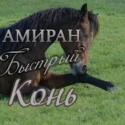 Адыгейская Музыка Про Коня