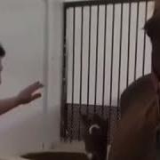 Ей Тəкаппар Дүние