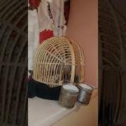 Кабк Чанг Гаравти