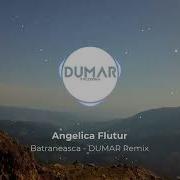 Dumar Angelica Flutur Taraful Florin Mucea Frunzuliță Iarbă Deasă Bătrâneasca