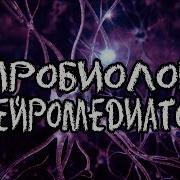 Нейробиология Ii Нейромедиаторы