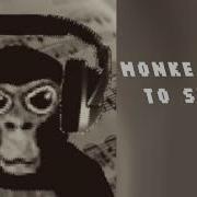 Monke Need To Swing