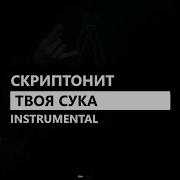 Type Beat Твоя Сука