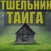 Убежище Изба Лесника Отшельник Хозяин В Тайге Судьба Удивительные Истории Из Жизни В Лесу Рассказ 1