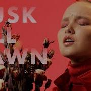 Zayn Dusk Till Dawn Ft Sia Cover By Arina