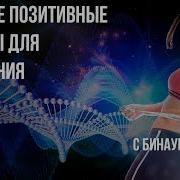 Метаболизм Бинауральные Ритмы