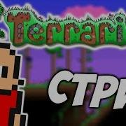 Terraria Стрим С Фростом