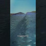 Submerged Meme Tsunami
