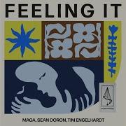 Feeling It Tim Engel