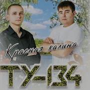 Калина Красная Ту 134